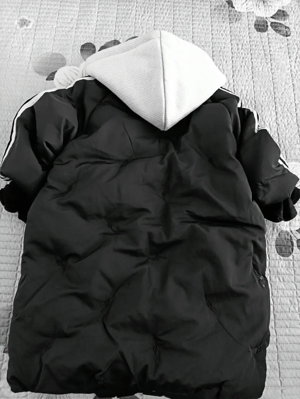 IMG20241104111801