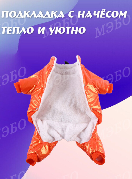 112437da0a1d1a35d111382a127f7781.jpg