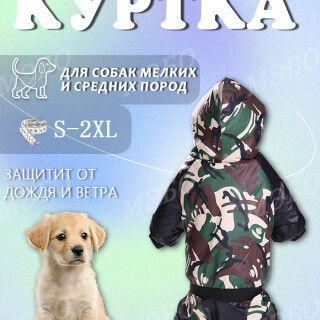 13f4195363ed3e1f7c5961f18d1b6fe1