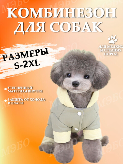 19b9129834d289ddde89f2034840a00a.jpg
