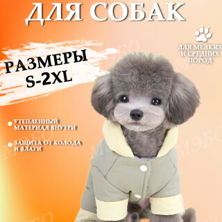 19b9129834d289ddde89f2034840a00a