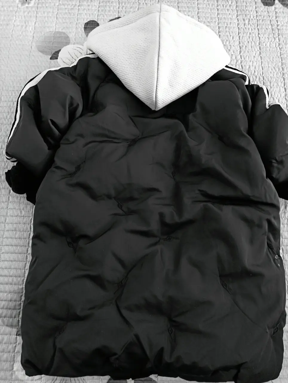 IMG20241104111816