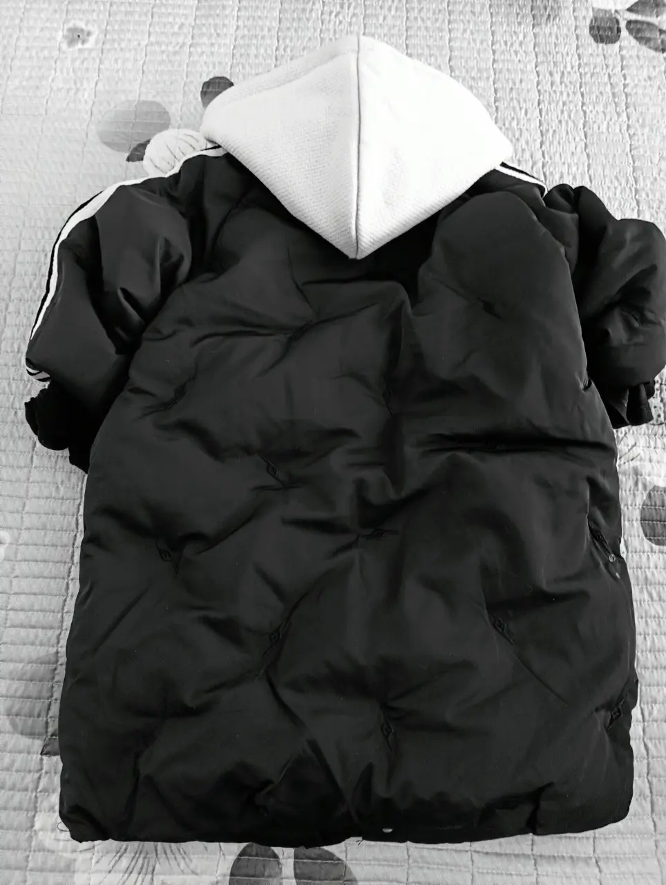 IMG20241104111823