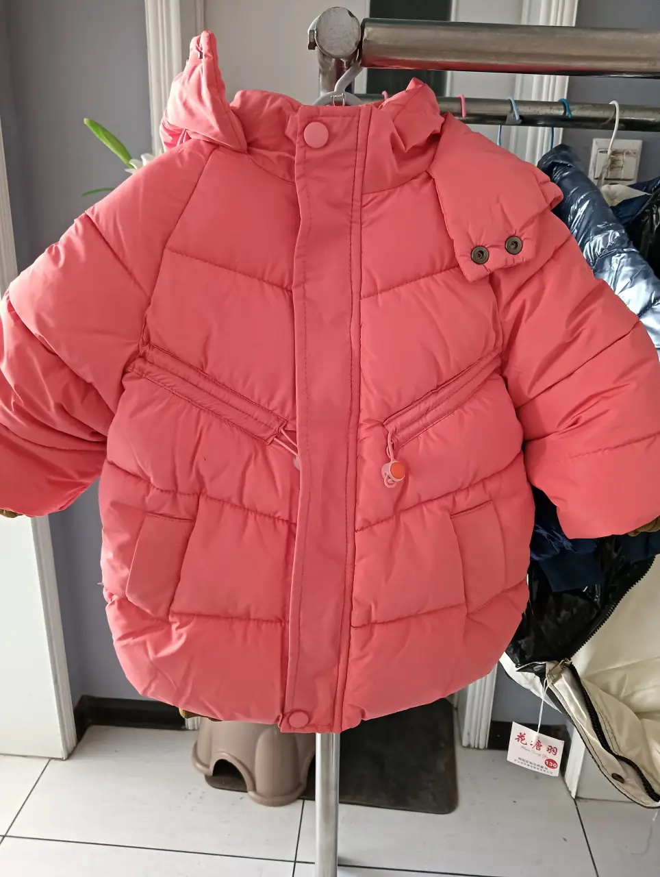 IMG20241104155725