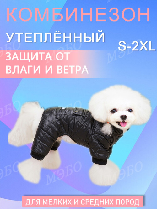 36d34df2e263a6457007f2239ddf5ee6.jpg