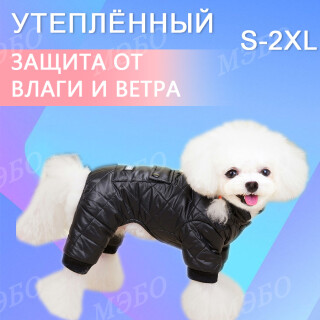 36d34df2e263a6457007f2239ddf5ee6