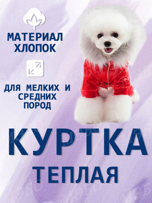 45650266fc6755ee66ad627d5bfe63b3.jpg