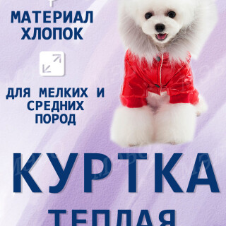 45650266fc6755ee66ad627d5bfe63b3
