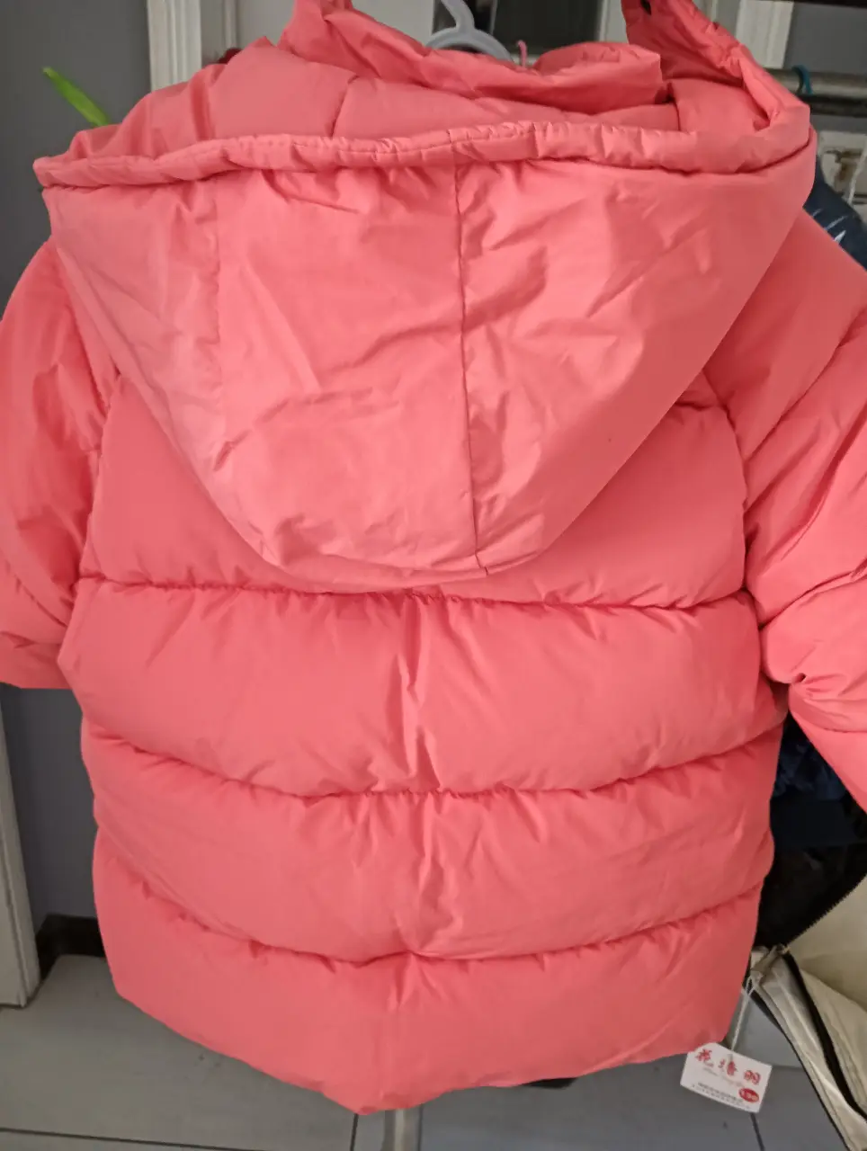 IMG20241104155814
