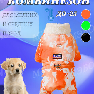 4896475973e82a371066f0c6d4527dd9