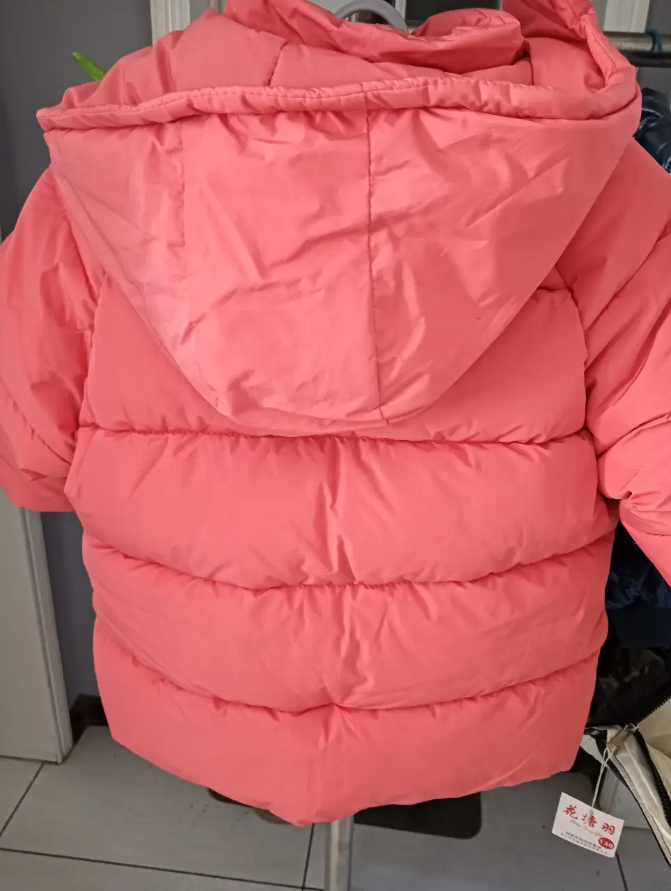 IMG20241104155805