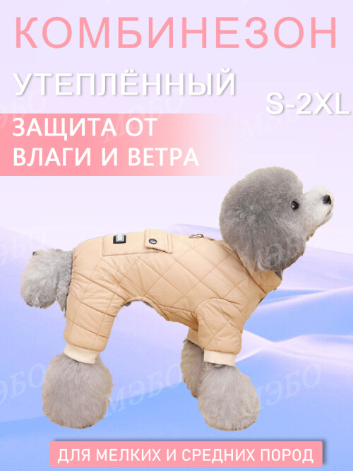 68d15eeeb5338b9b64d0d3463b1f0698.jpg