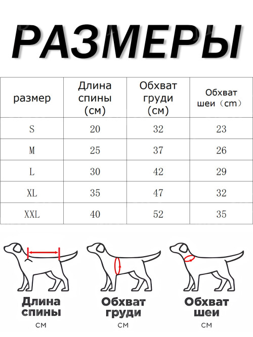 6fe738e72f4ea957453666c6c9980b2b.jpg
