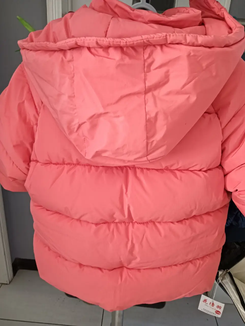 IMG20241104155819