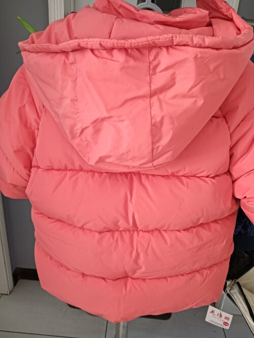 IMG20241104155819