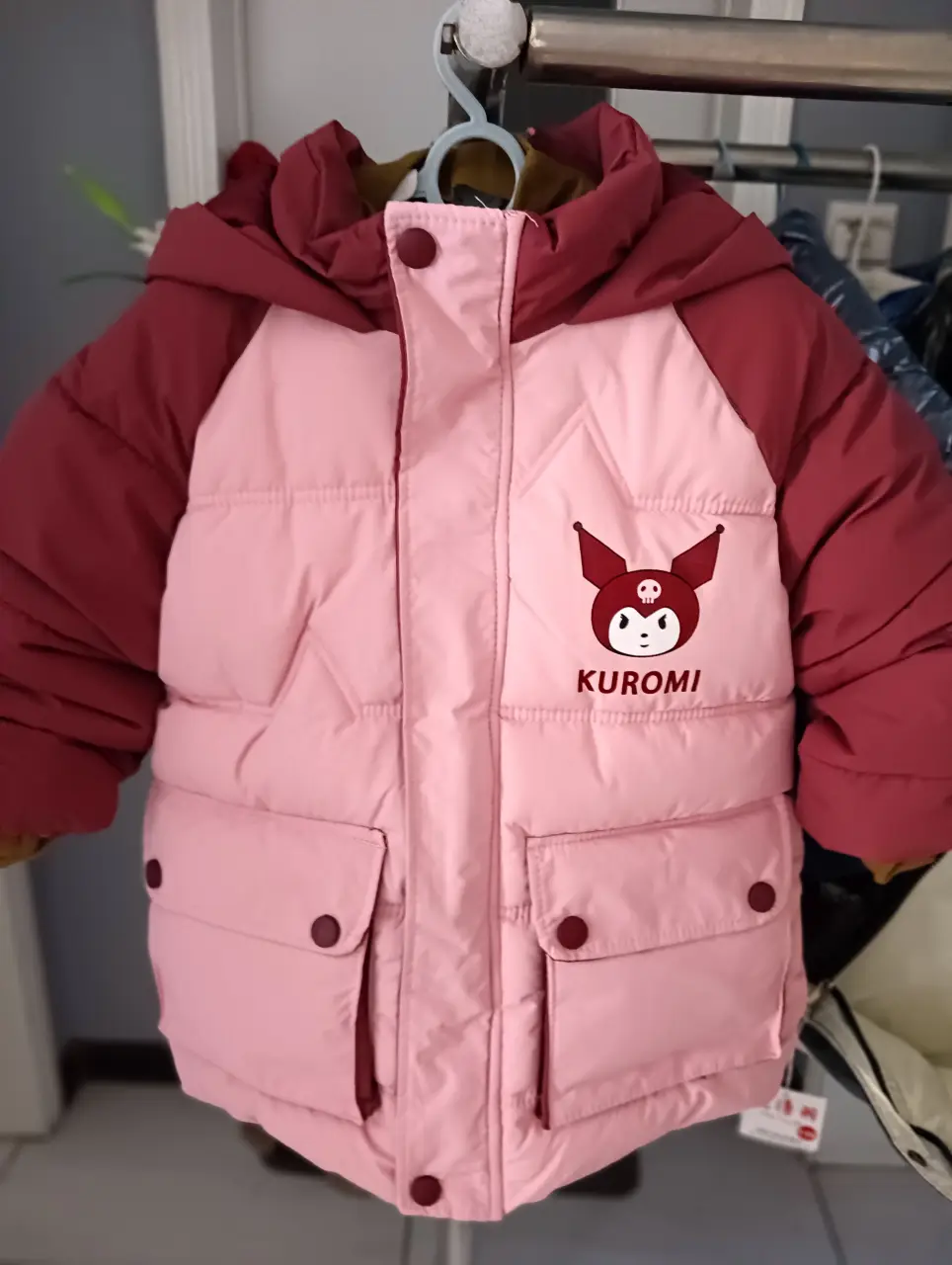 IMG20241104153549