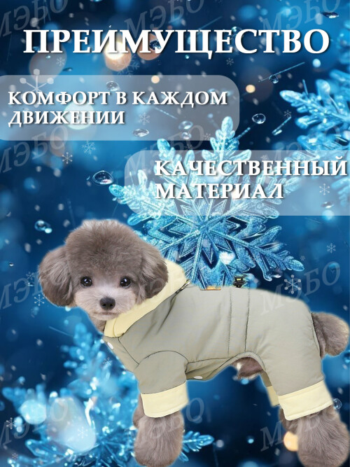 7a71ae6adead9d9f710fde3210c4d78f.jpg