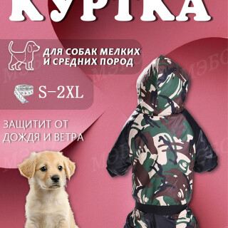 81c56dbebc151dcdb5ac779a0d2a4df7