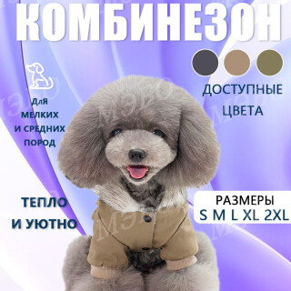 82af8154fba571d51c05bfad3d280ed3
