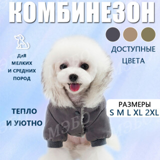 85ae1577a60a6c7a1c651594d65cabca