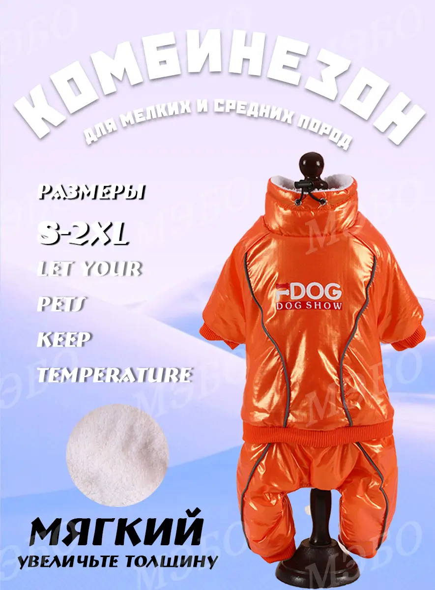 主图