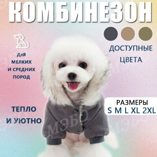 895776f53a26012121c8922157238cf8