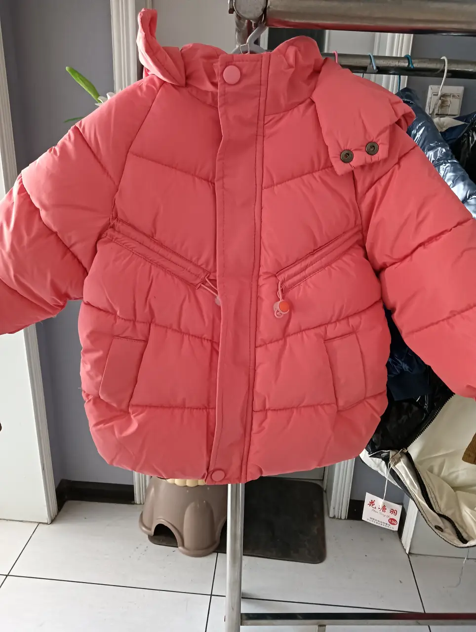 IMG20241104155553