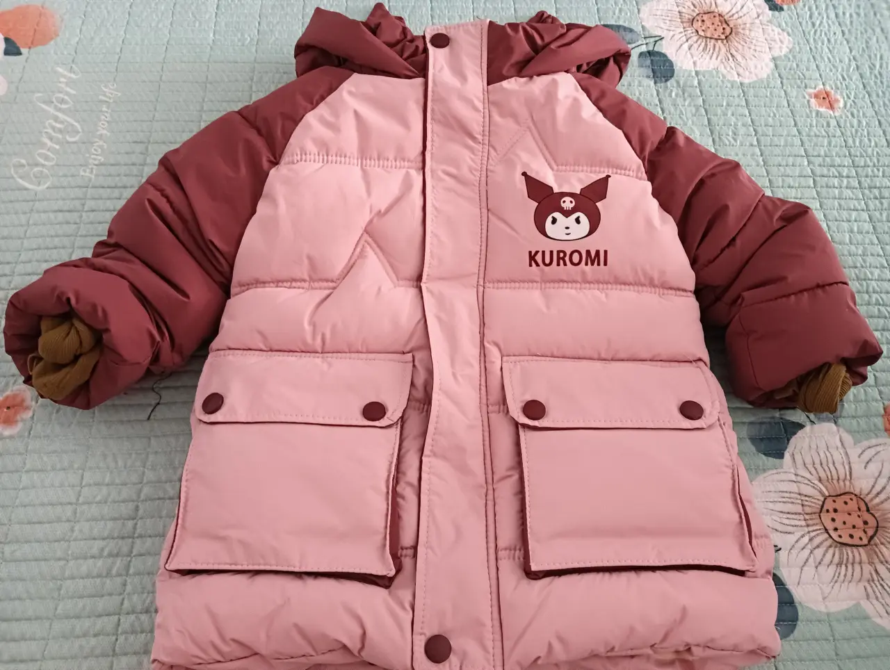 IMG20241104153702
