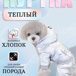 9e9f608bc6d030f56fcb4074e88483f2