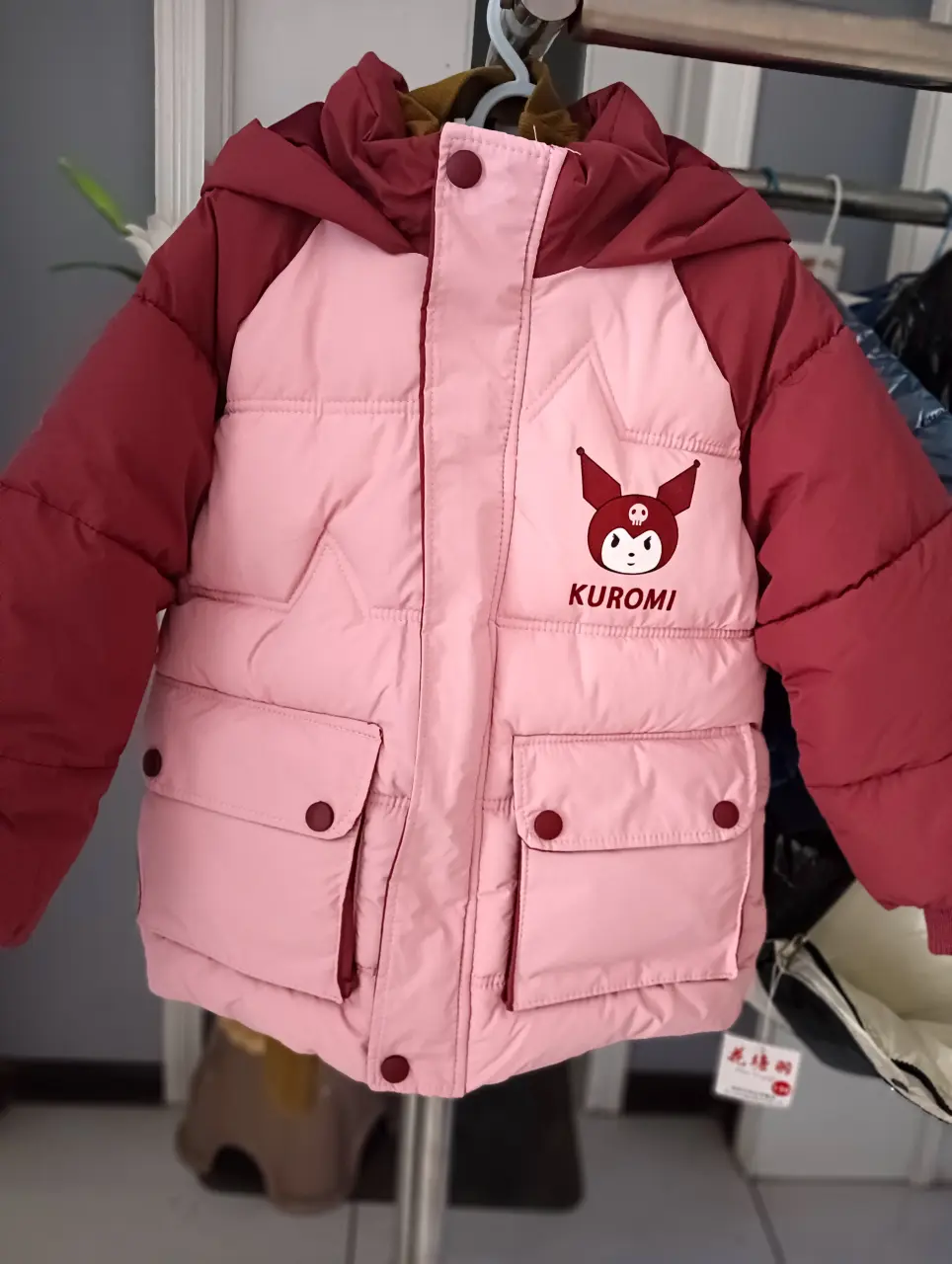 IMG20241104153420