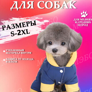 b7141c82969f069adb2985ce96d6afa3