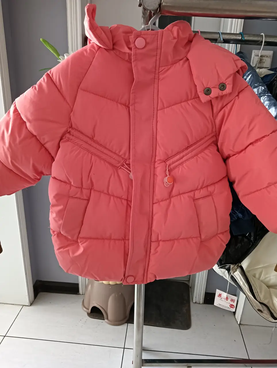 IMG20241104155555