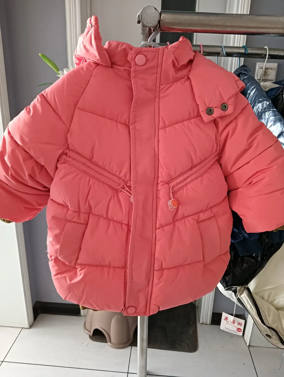 IMG20241104155727