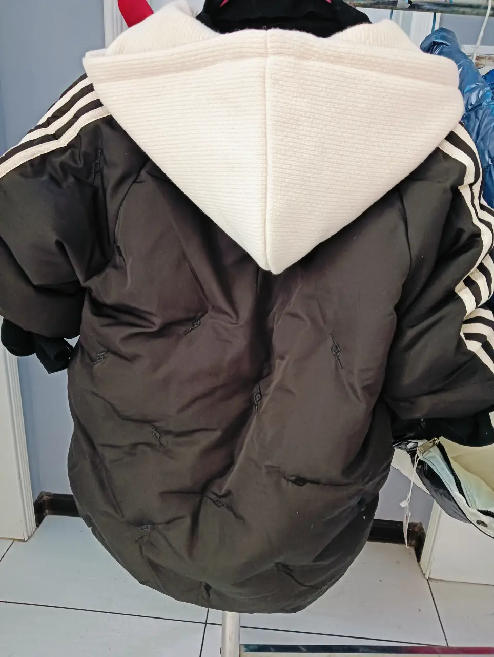 IMG20241104111537
