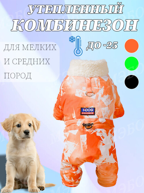dce99691b1c517a4c3be63edef28fe47.jpg
