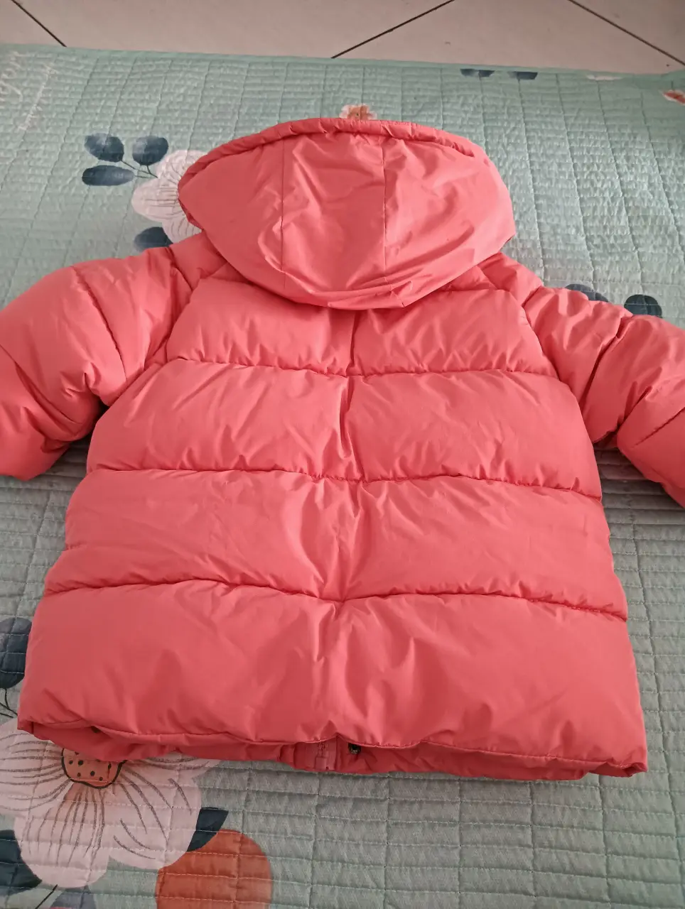 IMG20241104155922