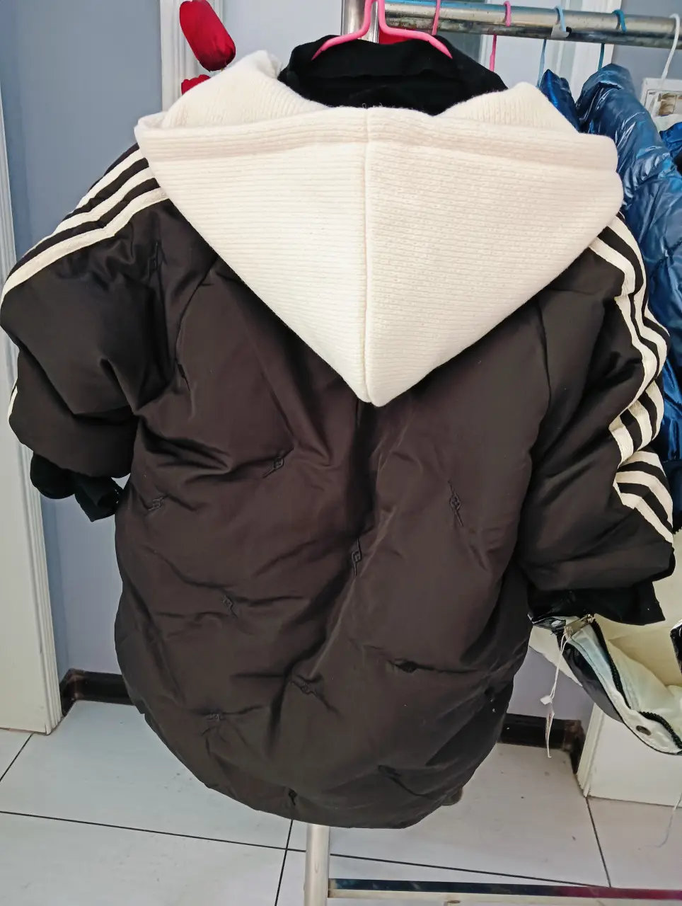 IMG20241104111533