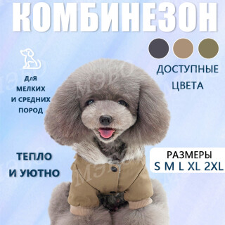 ec2eb53863ee9132ca217e4b8d377c58