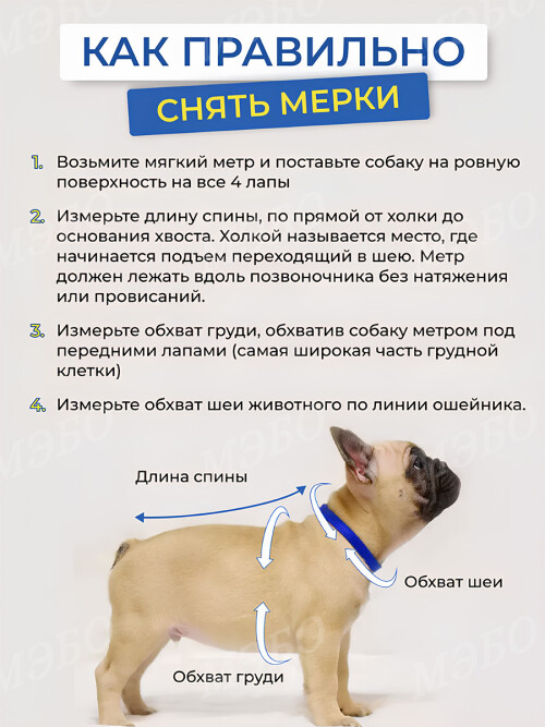 eff3d64478ce67a9b3a00935c2e6704d.jpg
