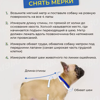 eff3d64478ce67a9b3a00935c2e6704d