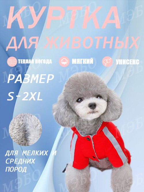 f0a71c27b4b7932d0f2d672ca3953905.jpg