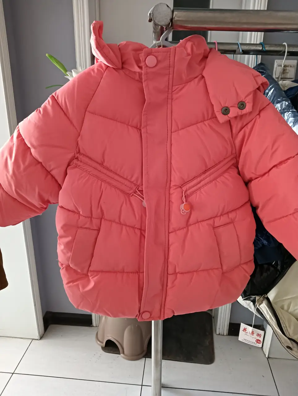 IMG20241104155543