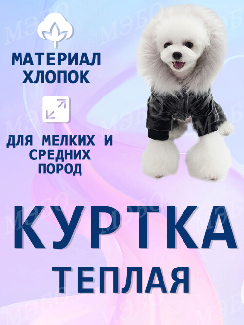fc11b26cb8833b6a8686f3e0725b315e.jpg