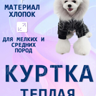 fc38c1b1553a4a04cec57b0fde911460