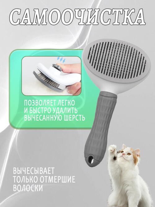 5dd25f93a33b2a4c643a7b1477b12902.jpg
