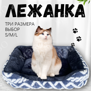 15d9e29202d86264c17edb67ad4741c2