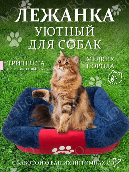6bc40914e1d155263206df7e2f5600f7.png