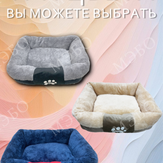 ad922ba20400373077b5d93c322eb834