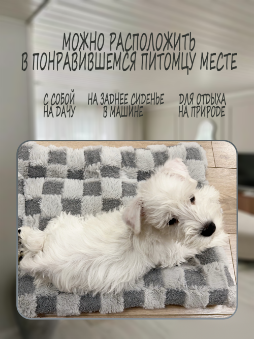 1842e8e14fbf80c513aff2d49fc4a109.png
