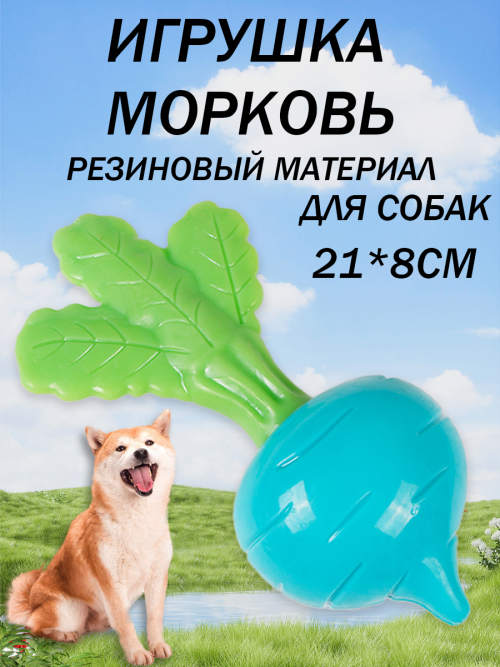 11482fe040b83c61315dba5e57412732.png